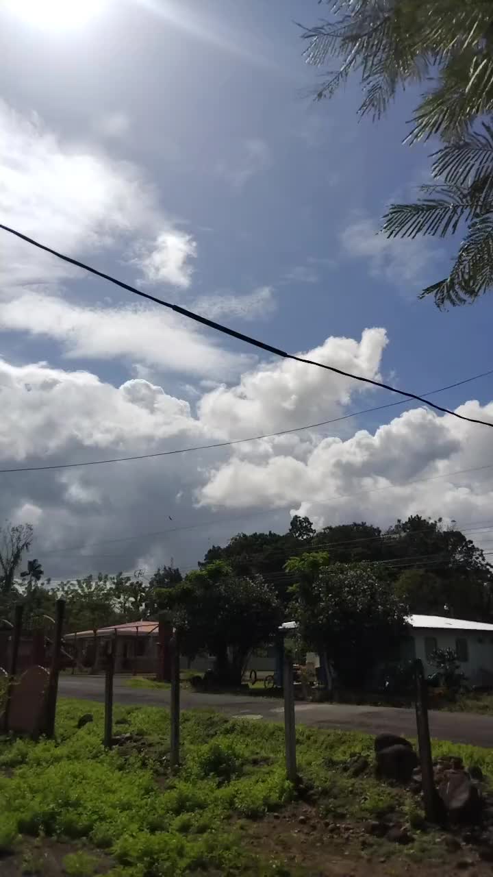 @joseth 1919