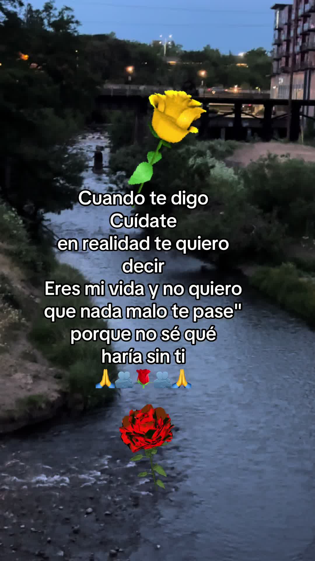 @pablocarbajal63