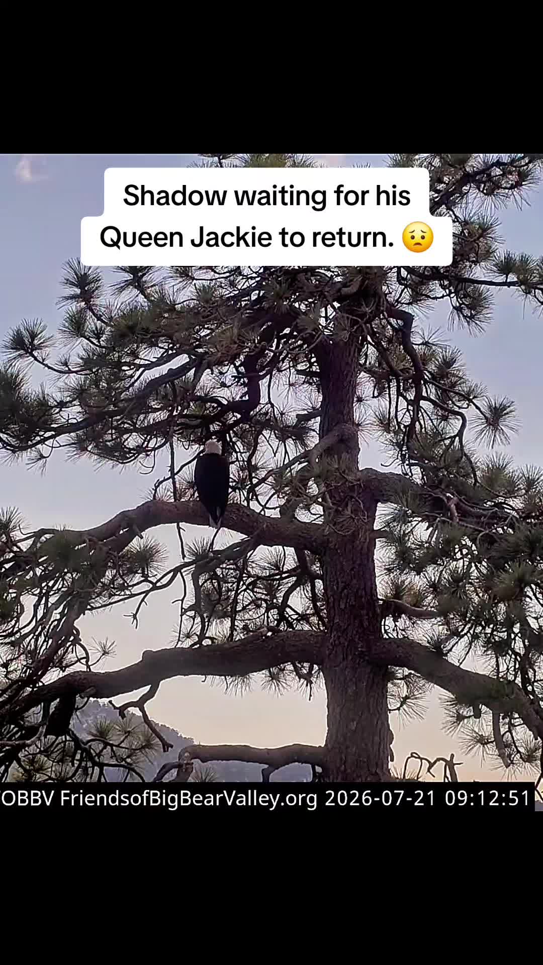 @ThyBlondee