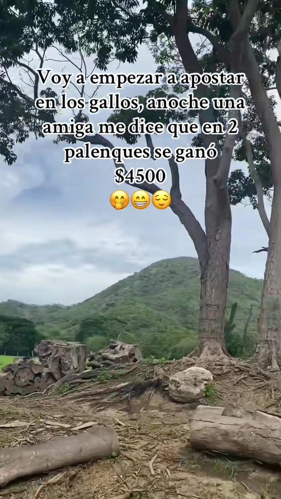 @Alicia Jacobo 📿🍀🤍