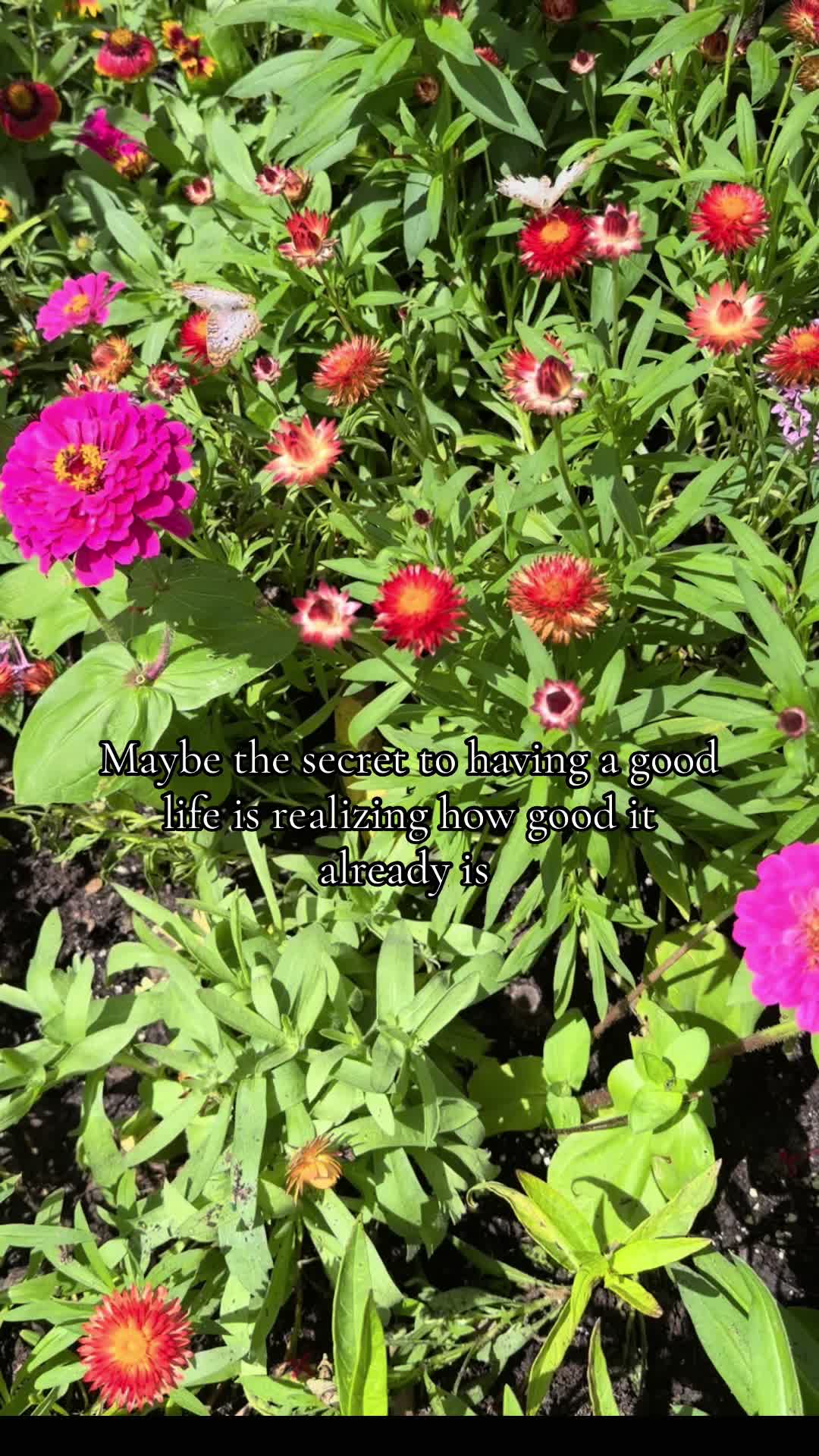 @marisa.a.y🌷
