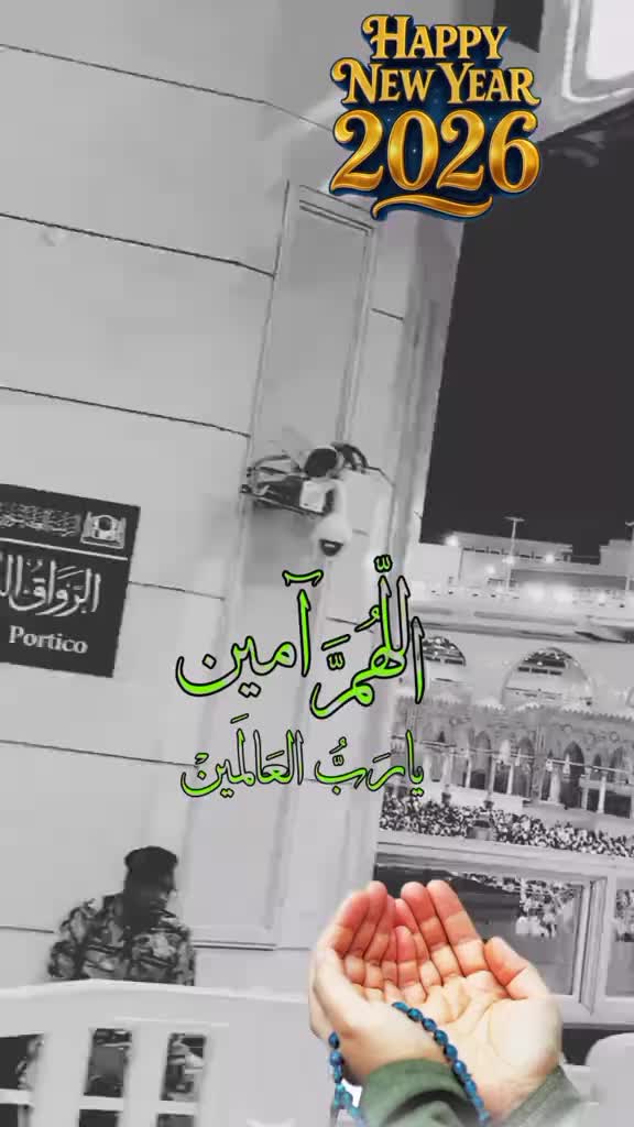 @royal birds