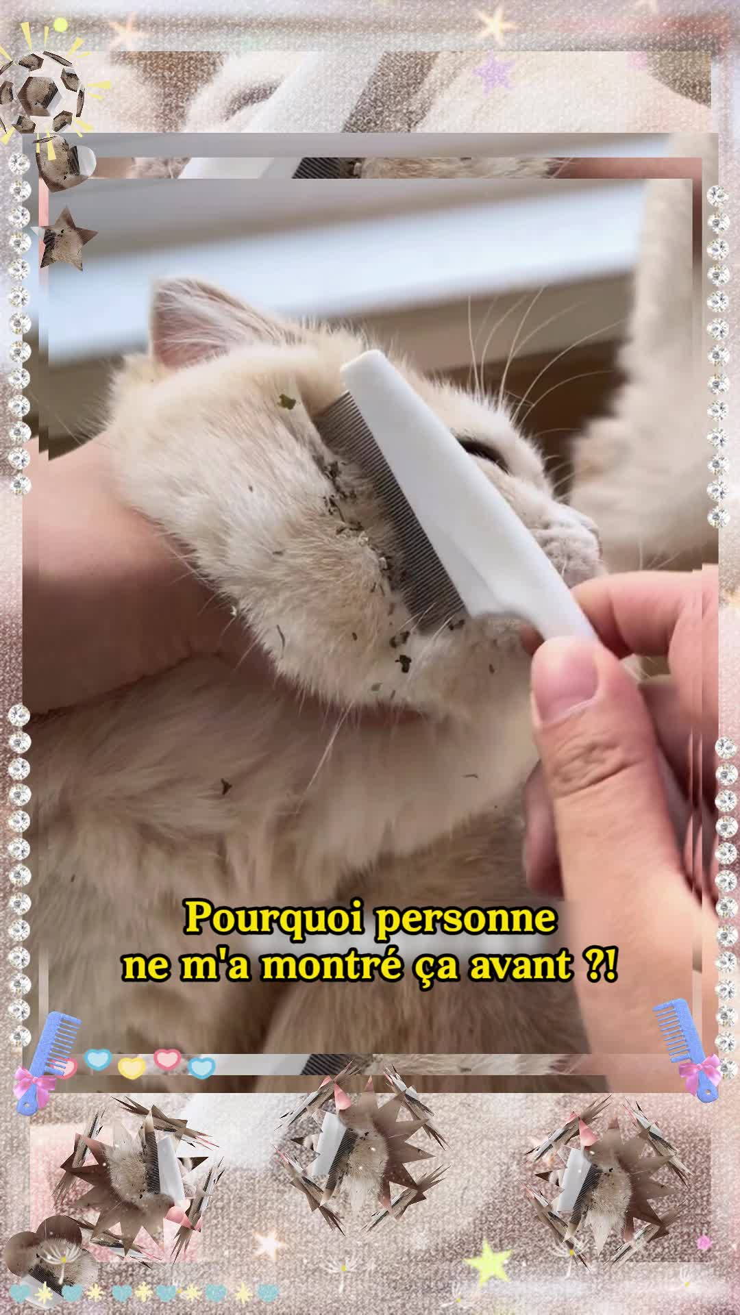 @leauberm