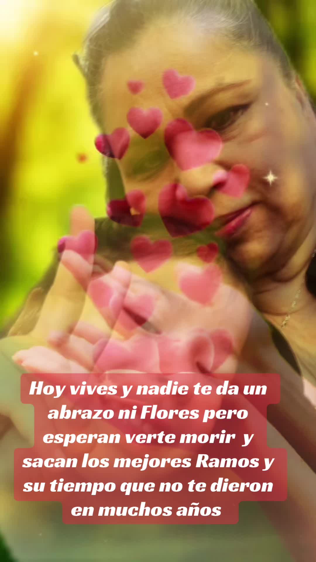 @Aliciag13