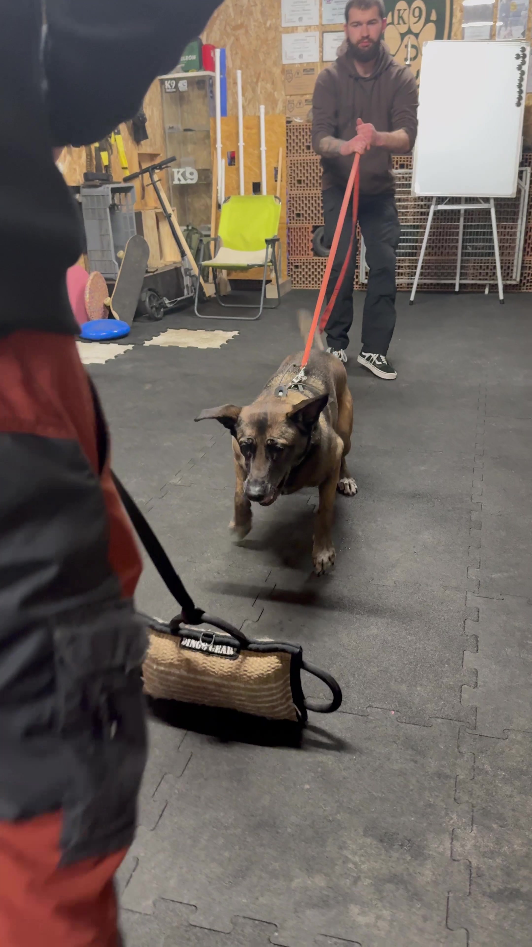 @k9spartan