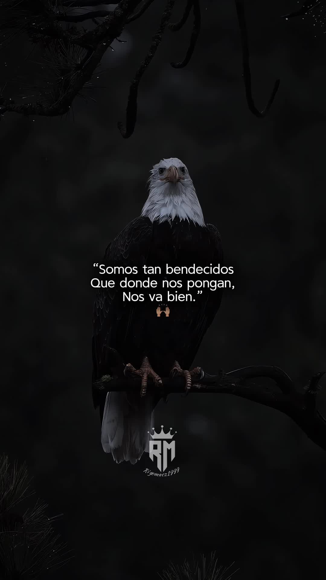 @Rigomacz1999