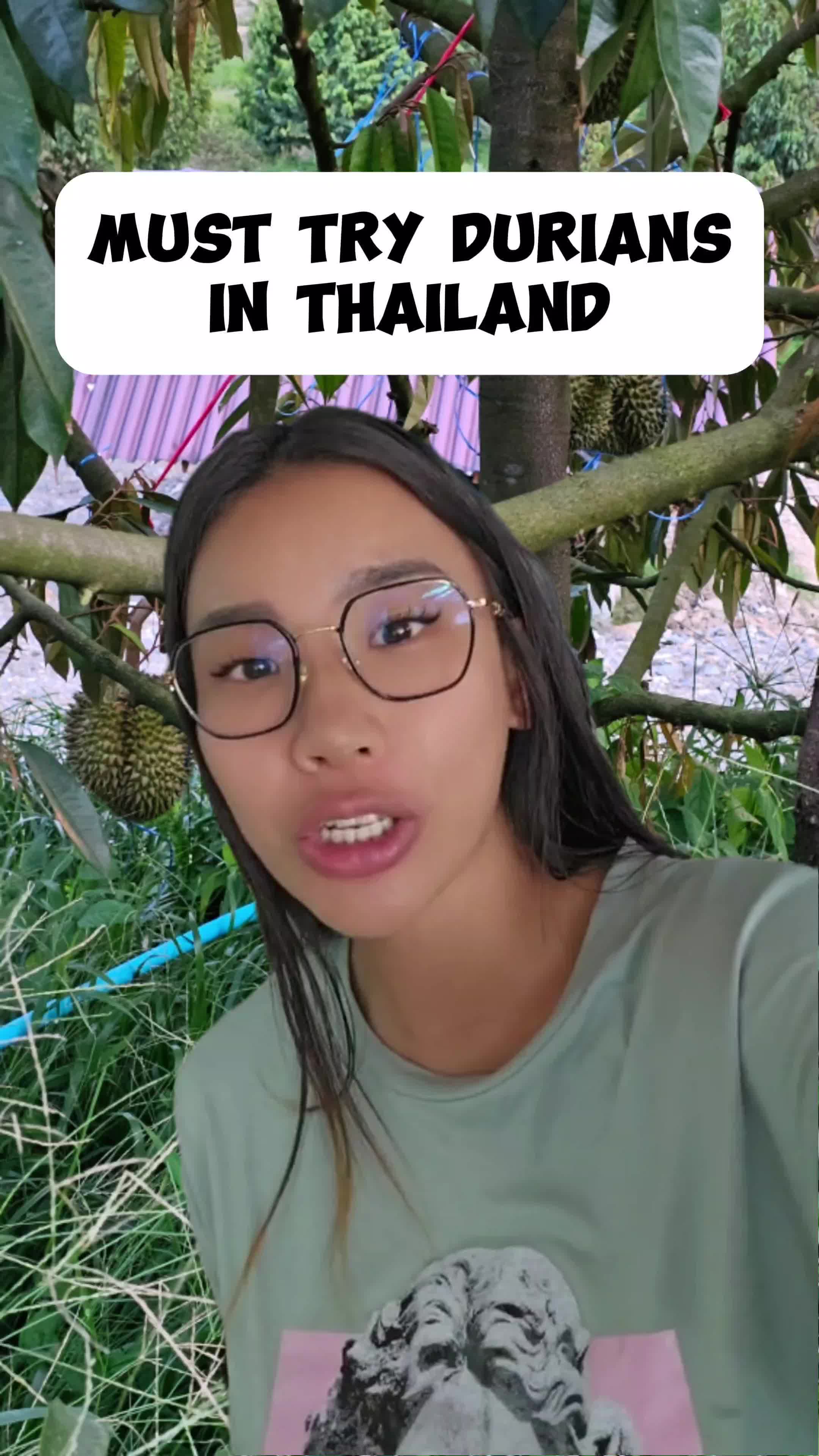 @Thailand Travel Tips