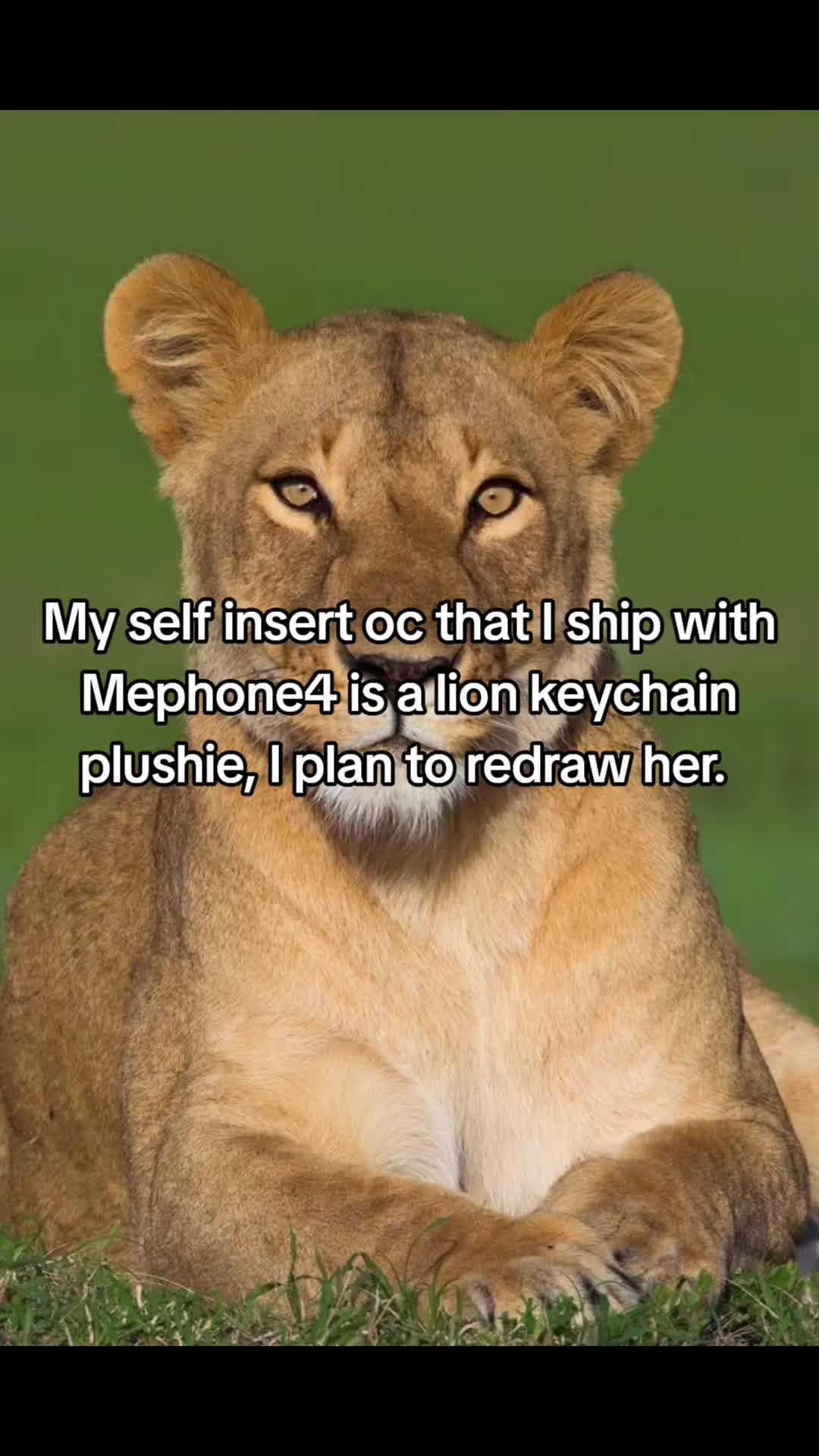 @Mephone4's wife 🐈🦁