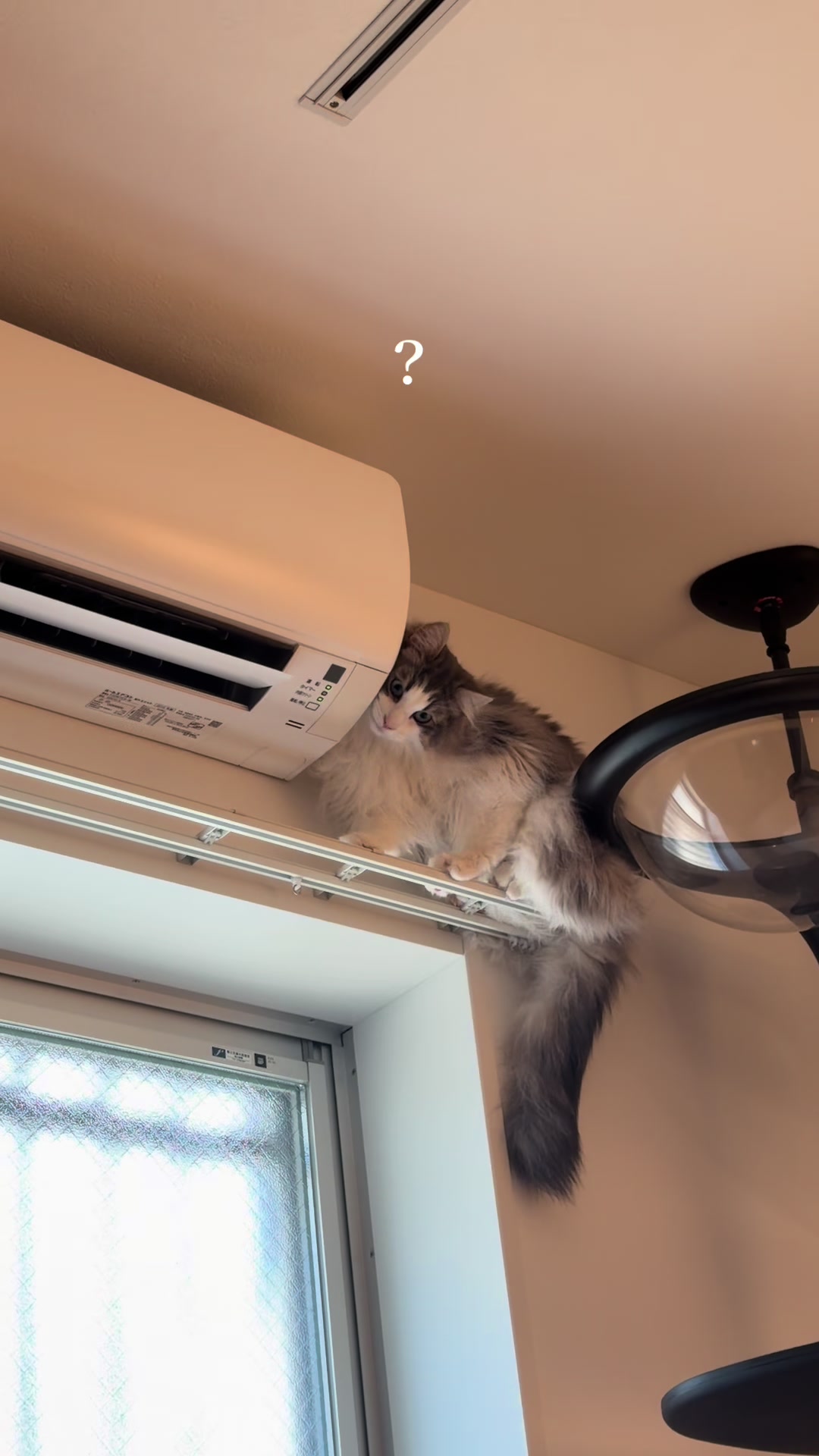 @ねここ様