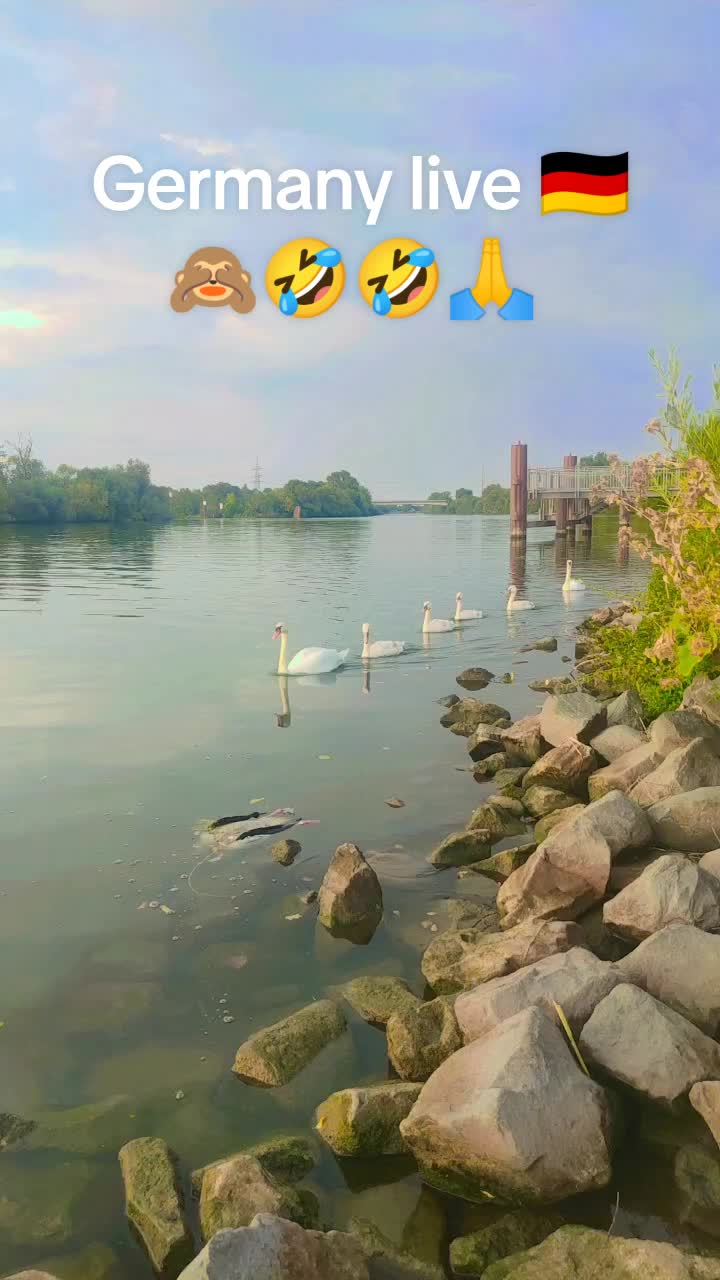 @Nabeela Germany 🇩🇪