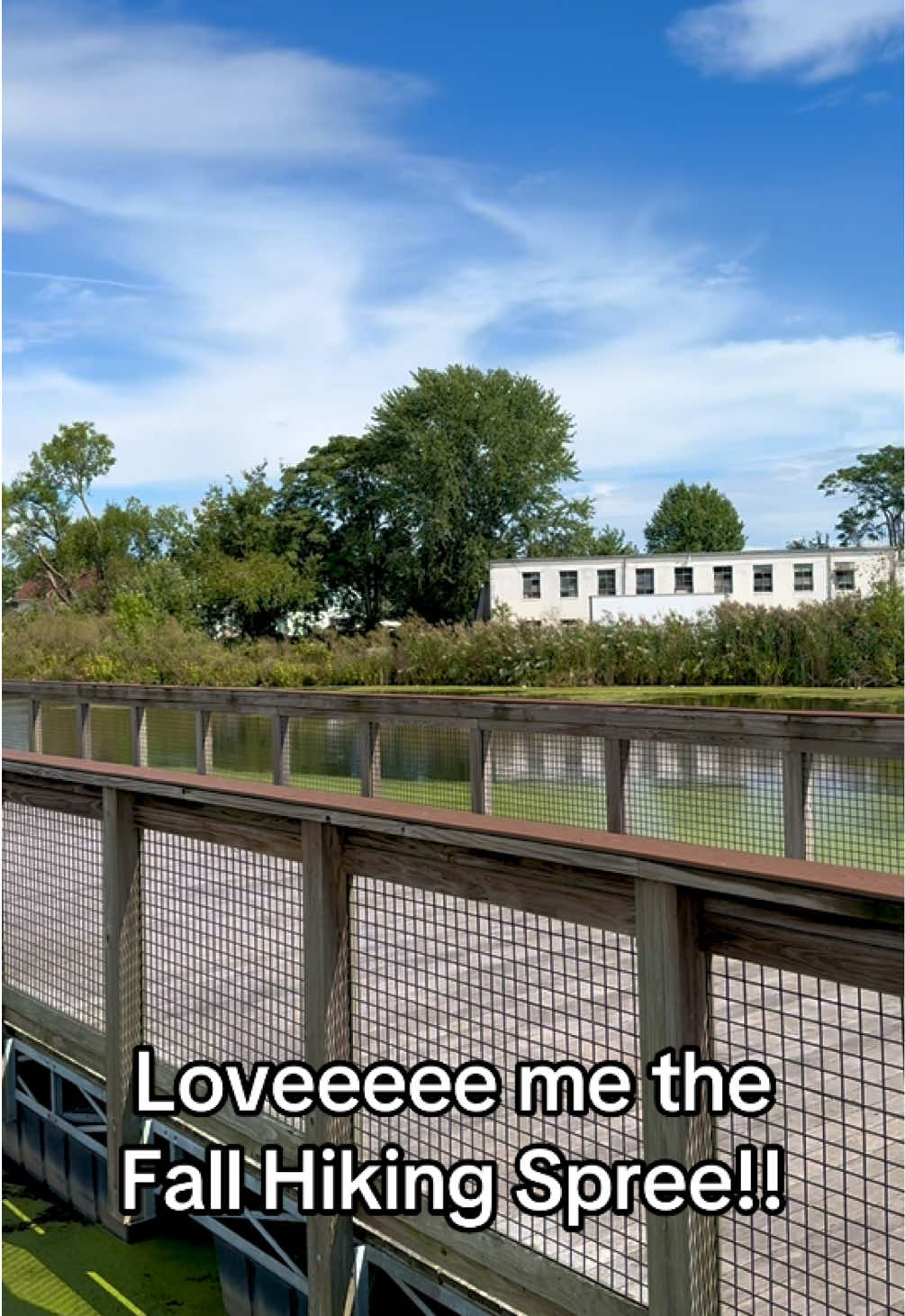 @Sarah Mushenheim