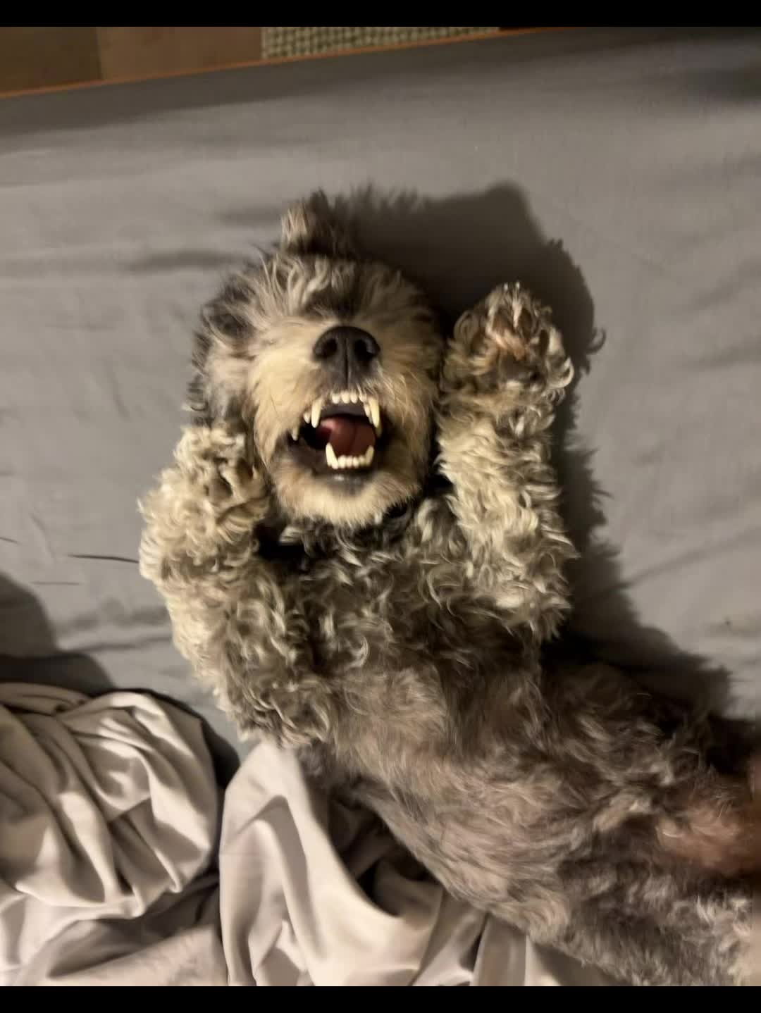 @On the edge of disaster