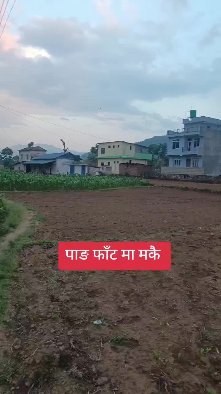 @prakash paudel