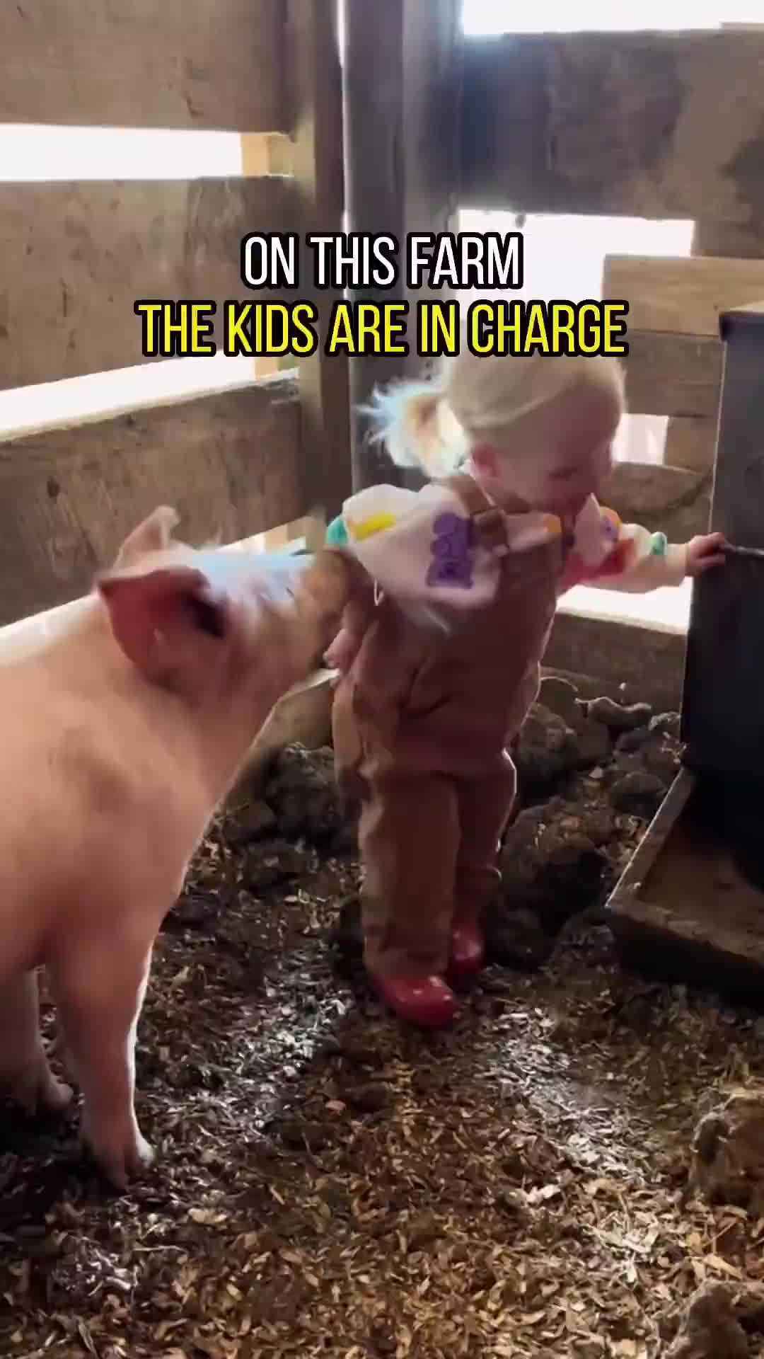 @ukfunny335