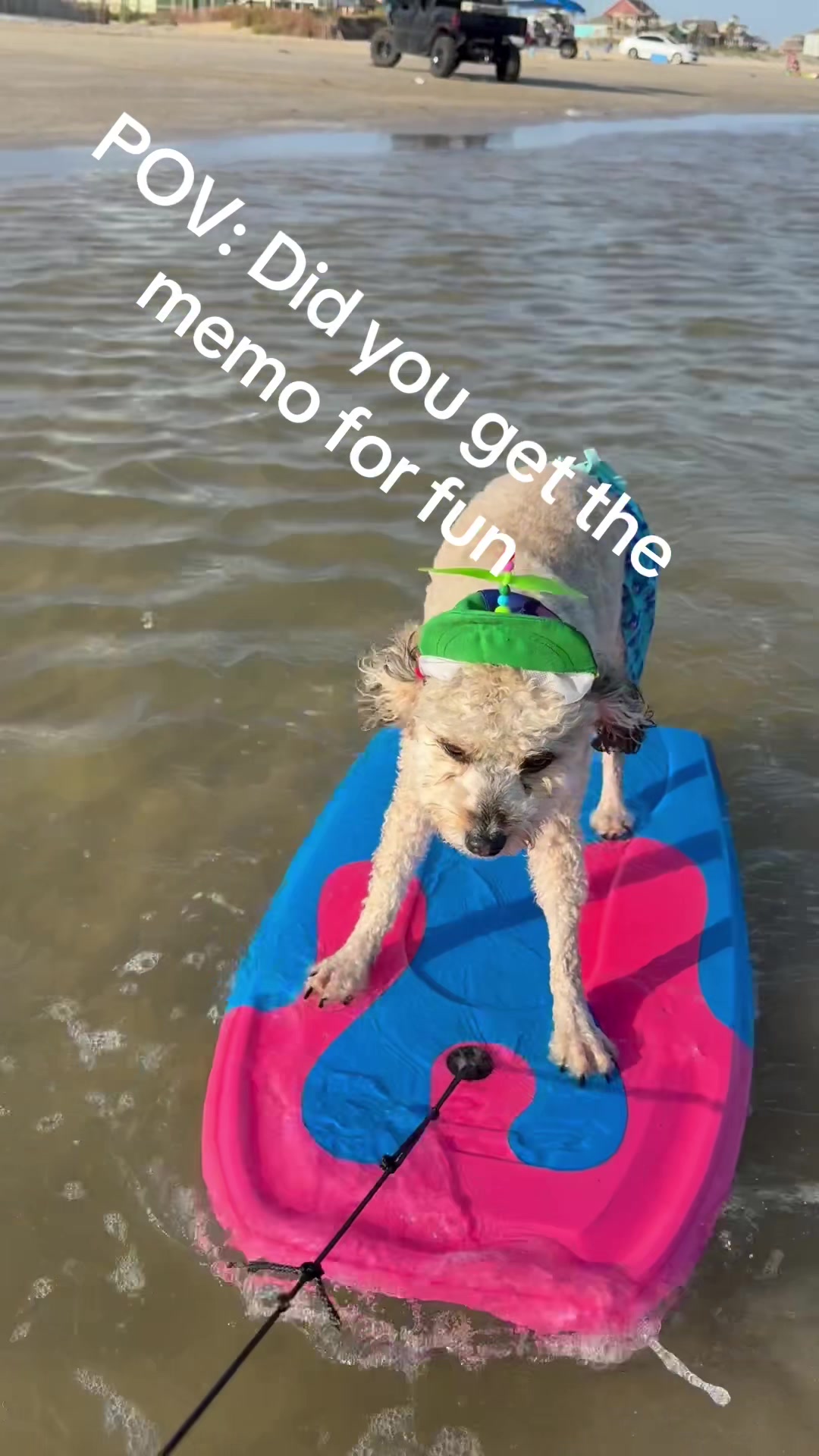 @bigdoodleandlittledoodle