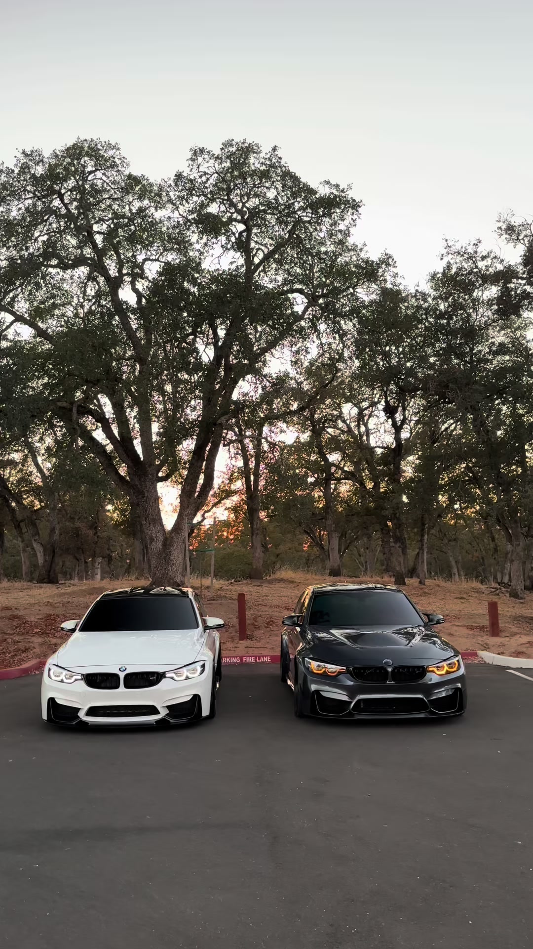 @f80ivan