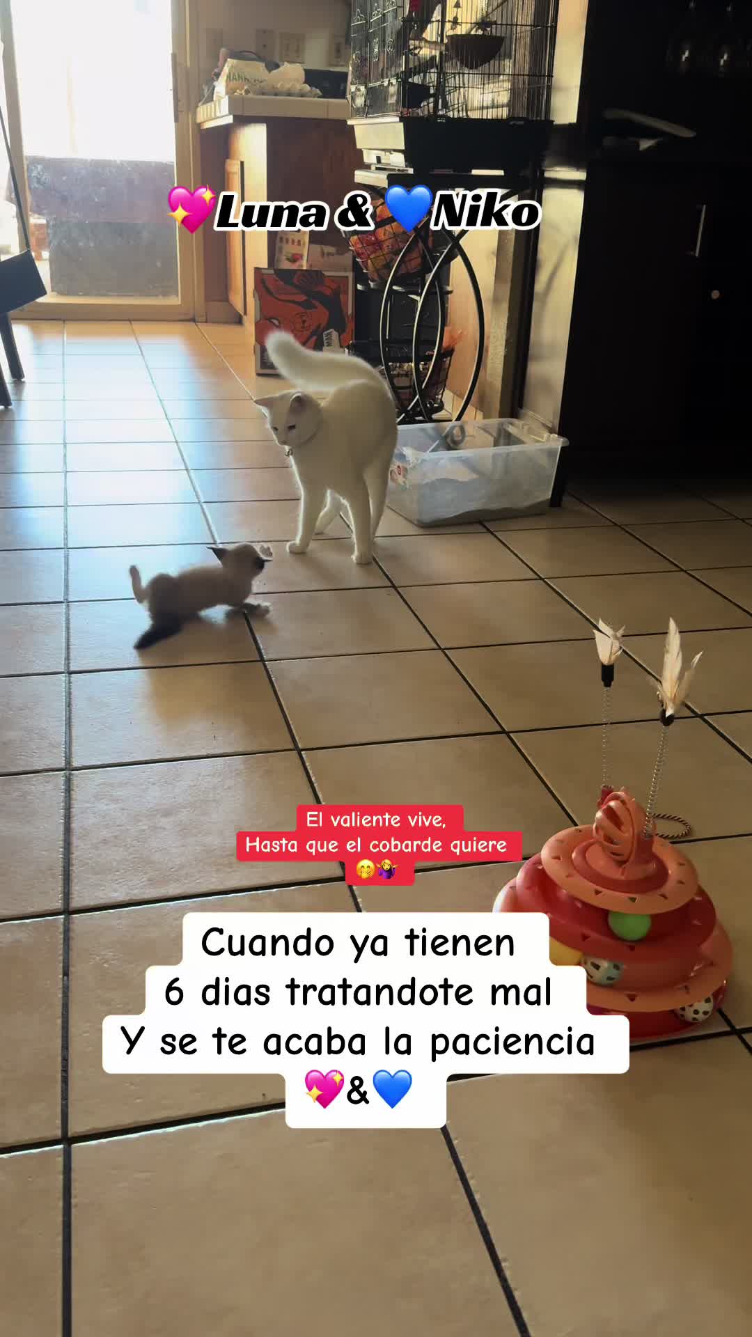 @Claudia