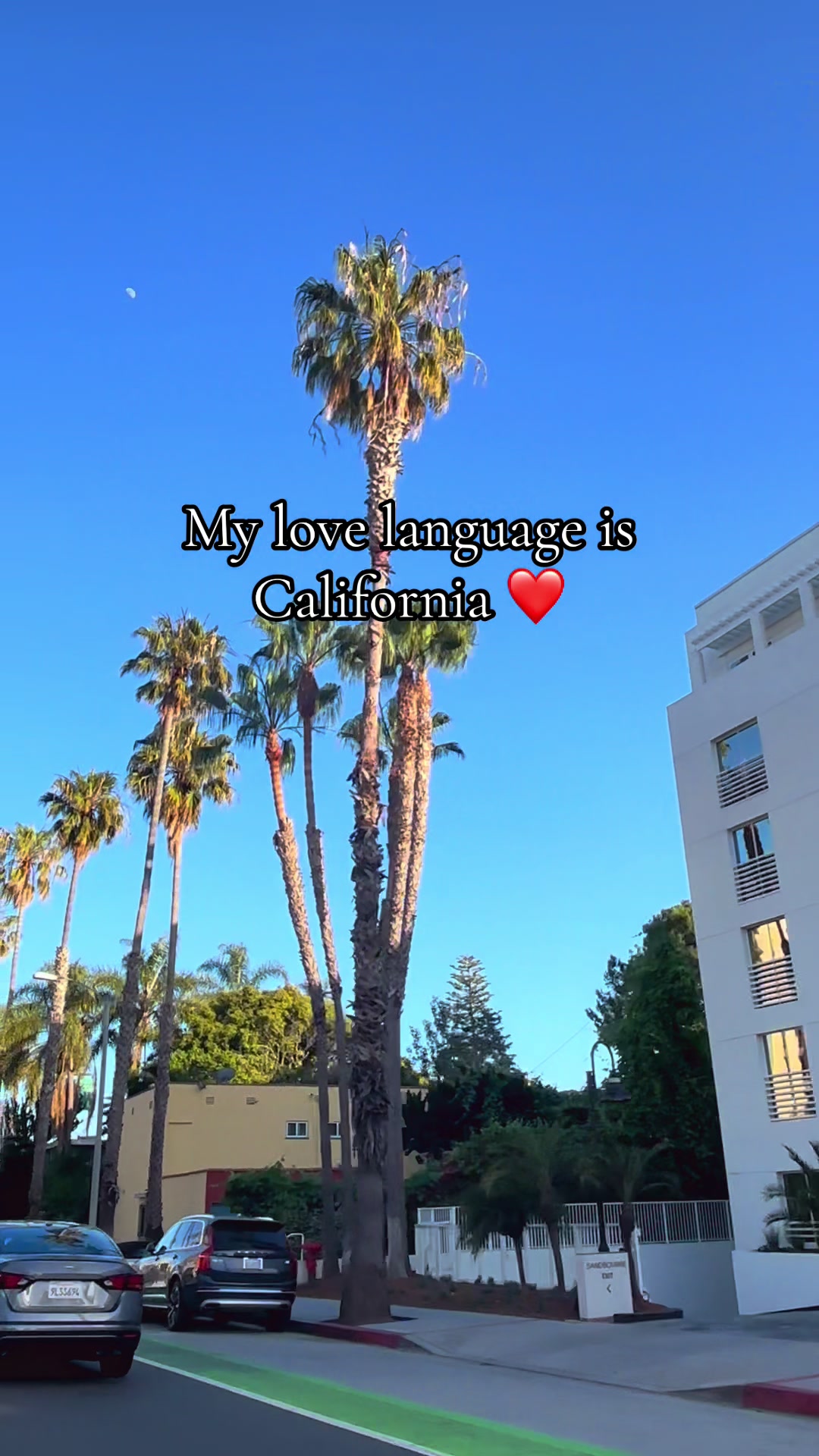 @💕🦋Arlene🦋💕