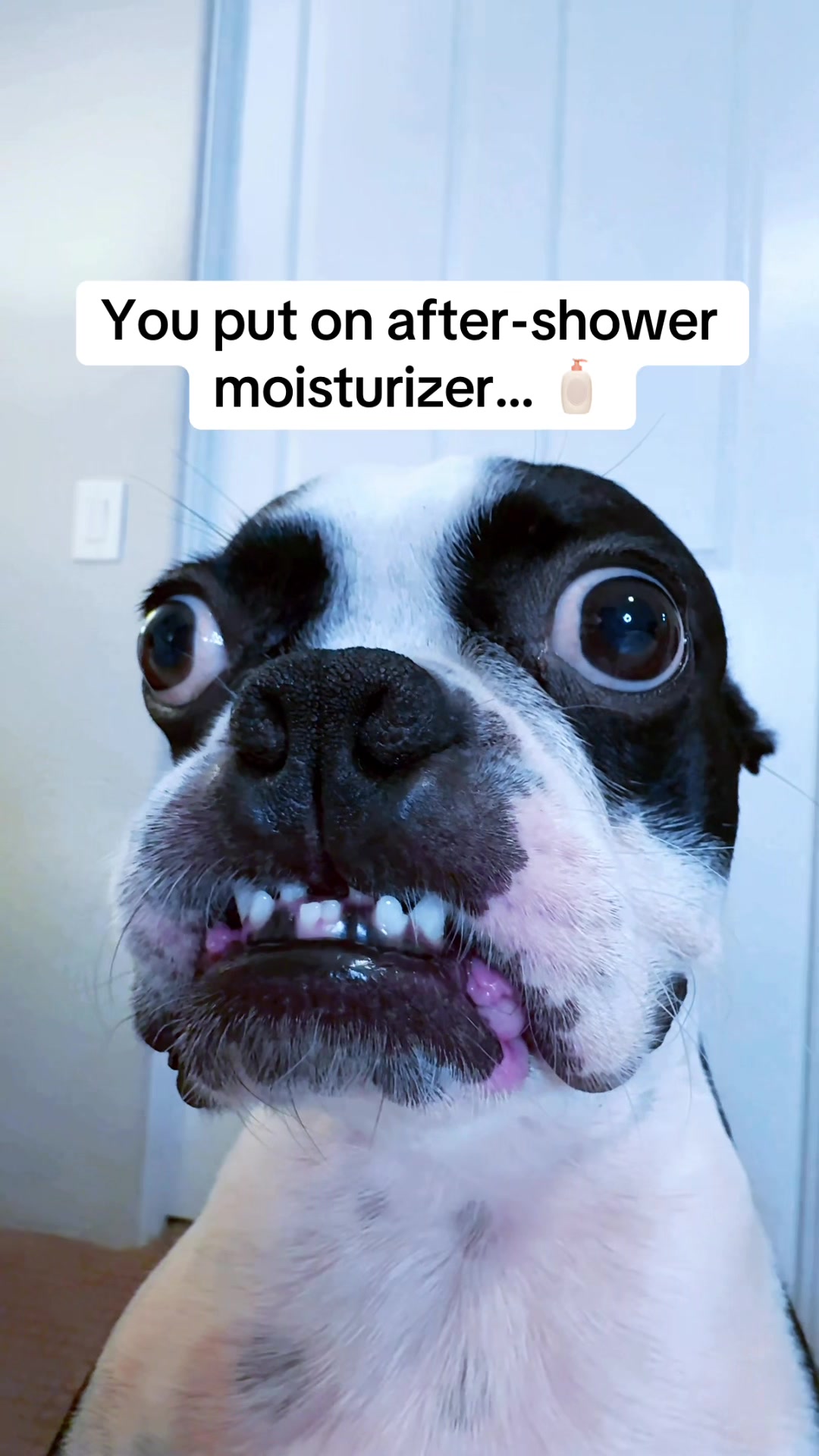 @WhenAshMetBowser