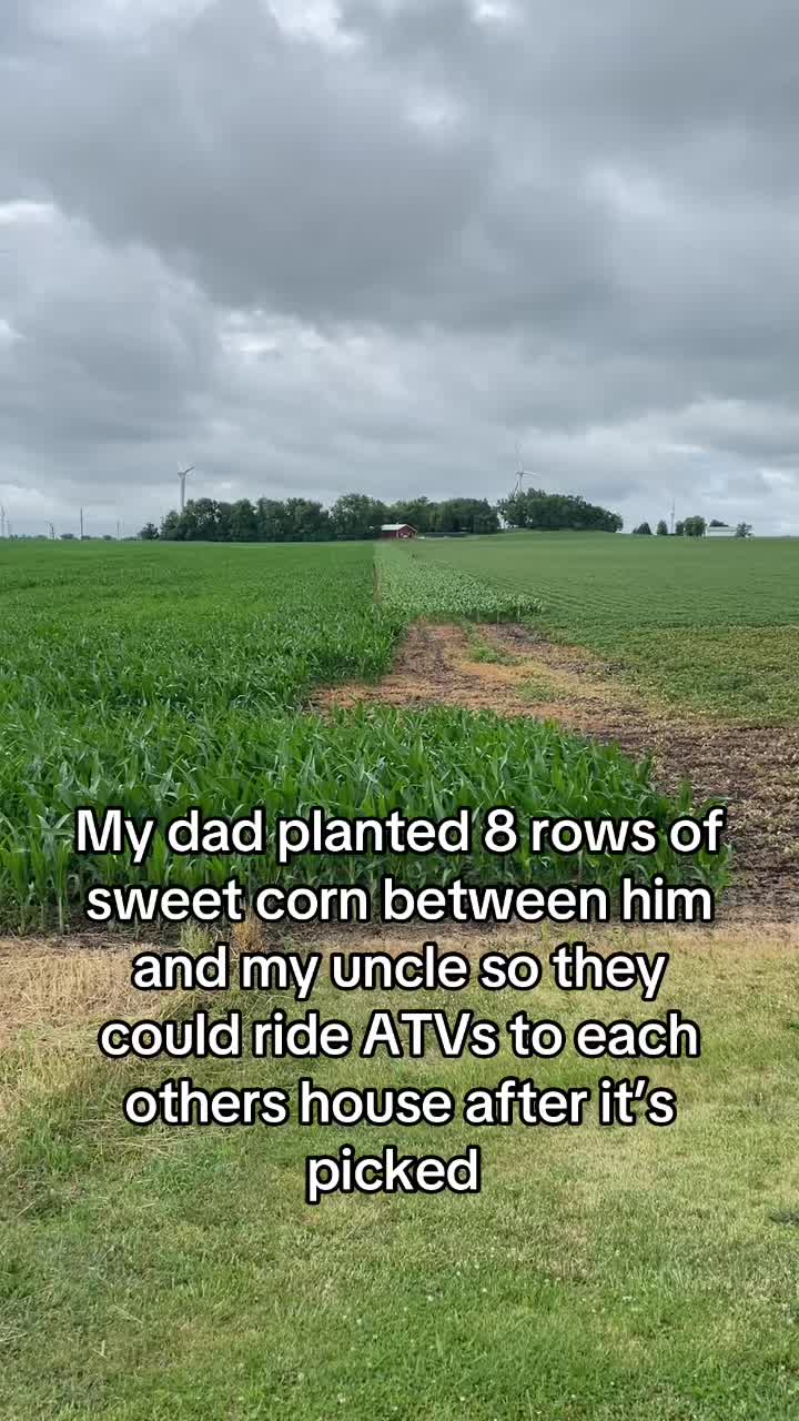 @Farmer Brando