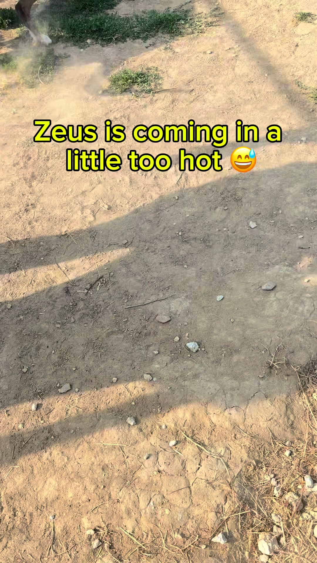@Zeus