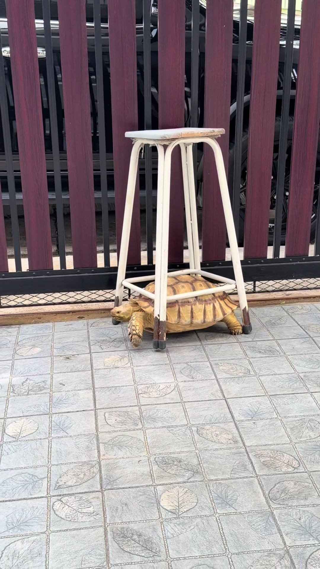@จุไรพร ศรีนิล