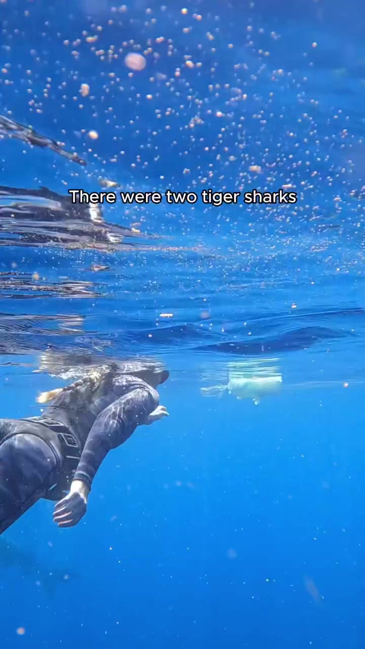 @Ocean Ramsey Sharks