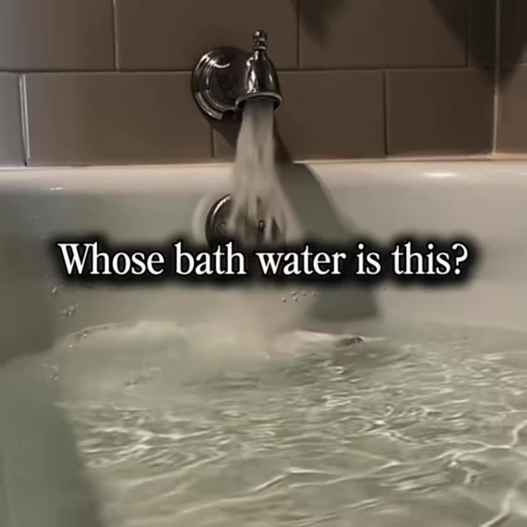 @wynai