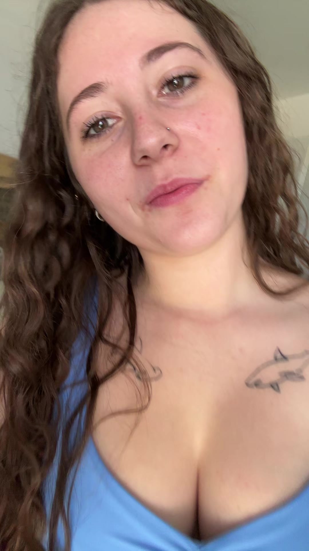 @🦈