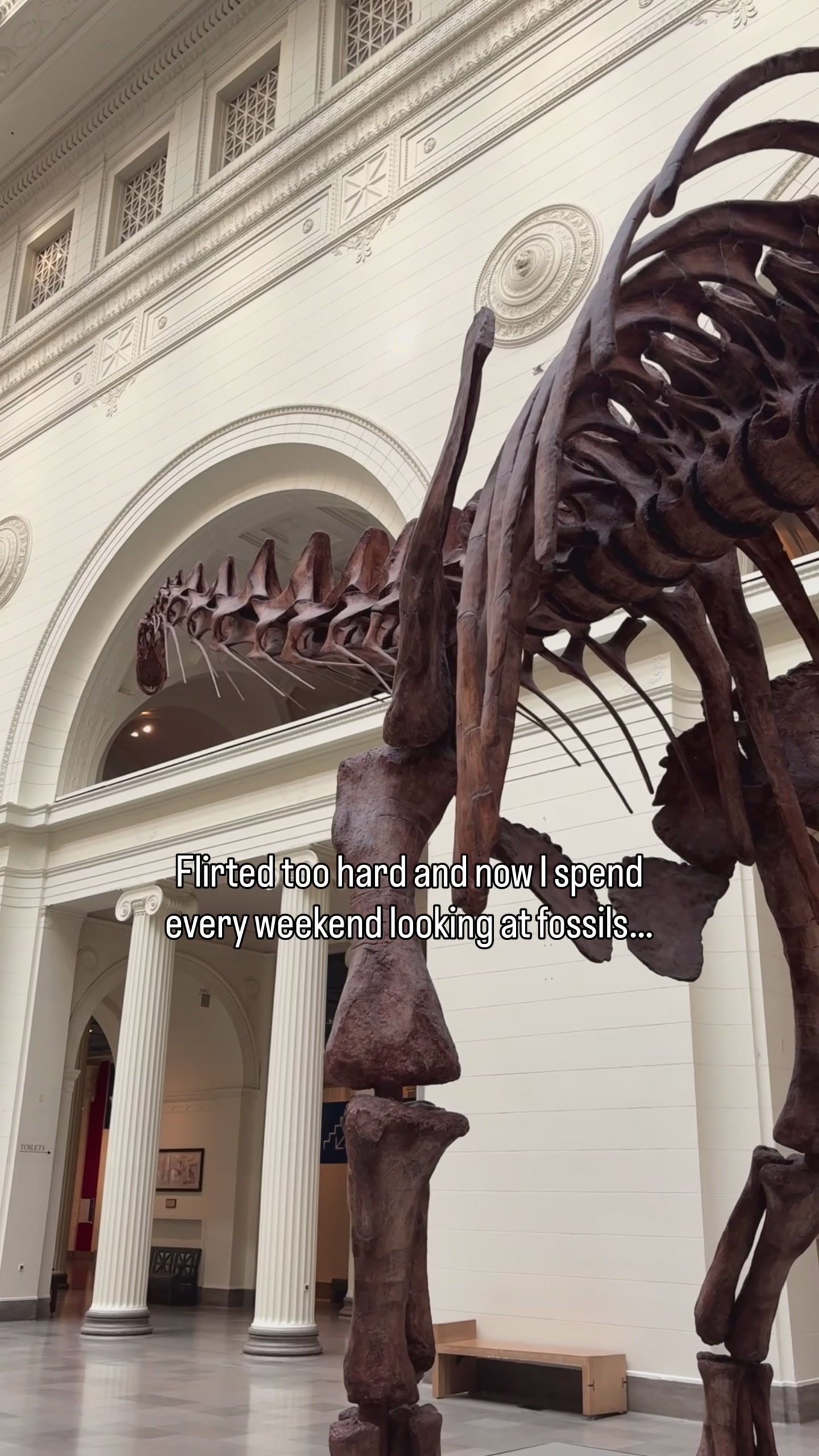 @Field Museum