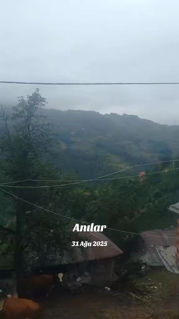 @Yurdag&uuml;l Demir