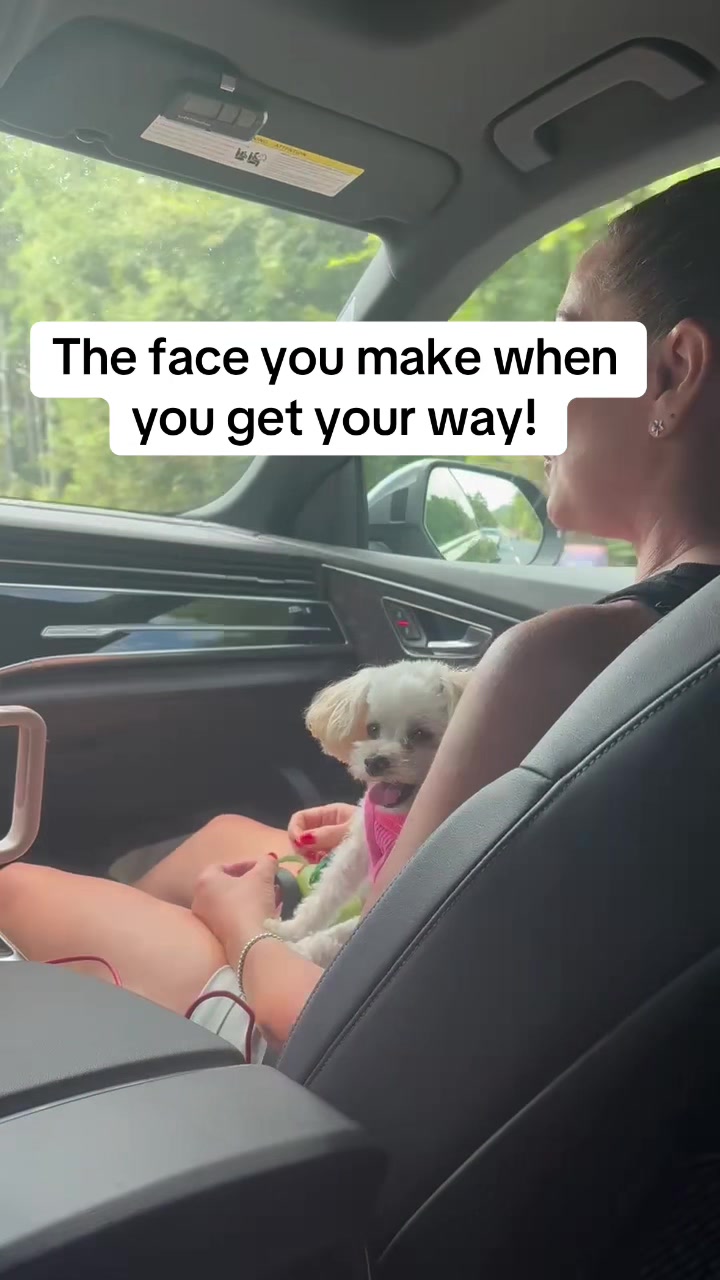 @LilFitPrincess