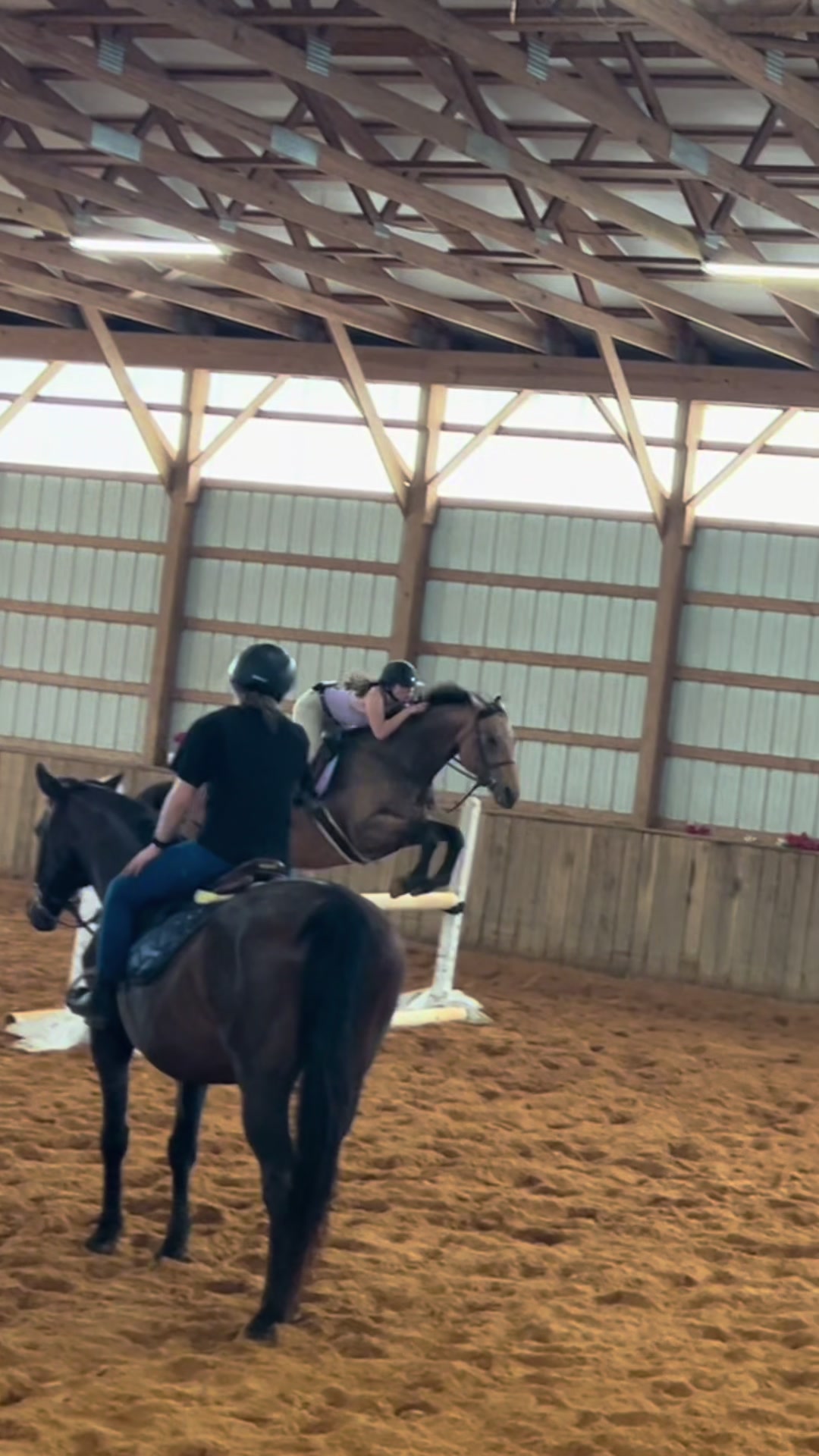 @Aftyn 🐎