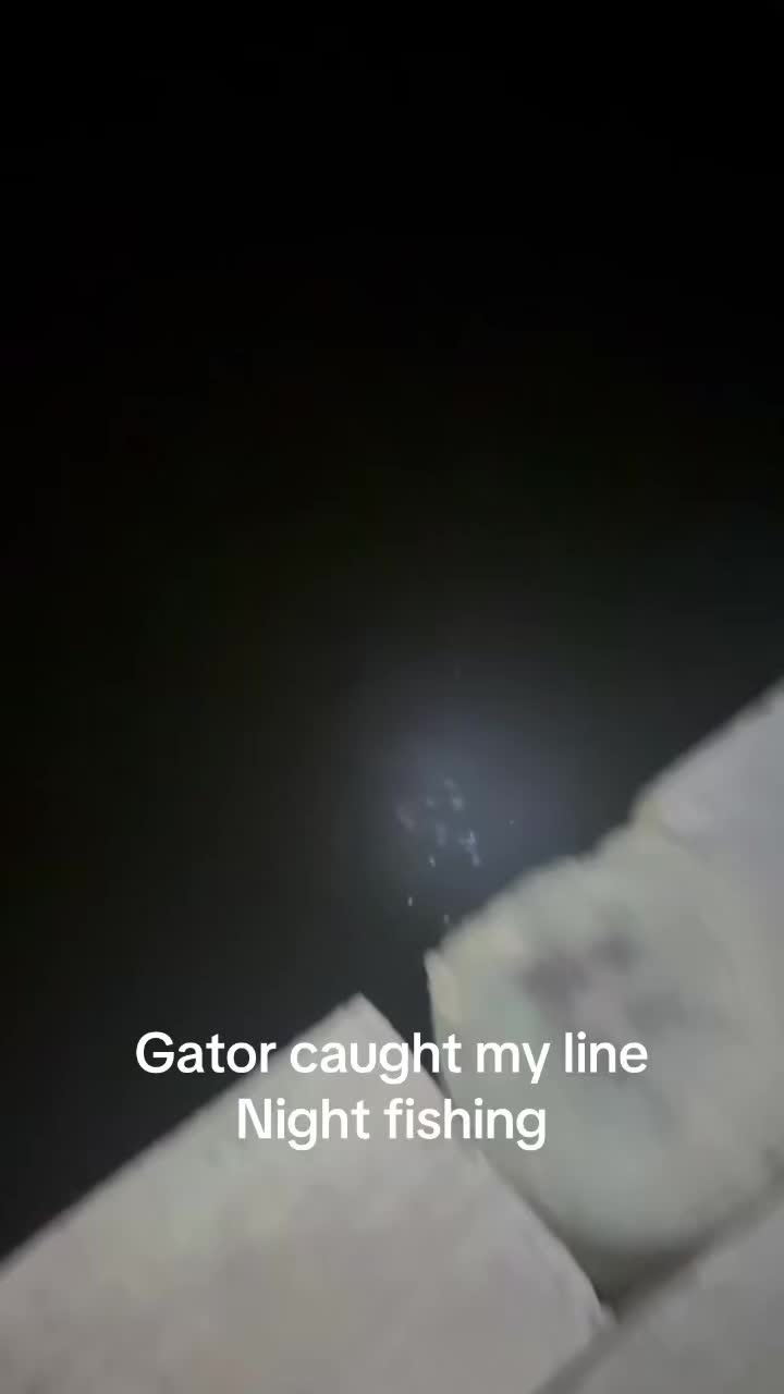 @wasimbullygang