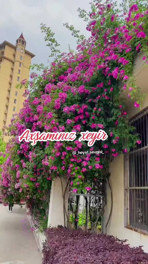 @💖✨