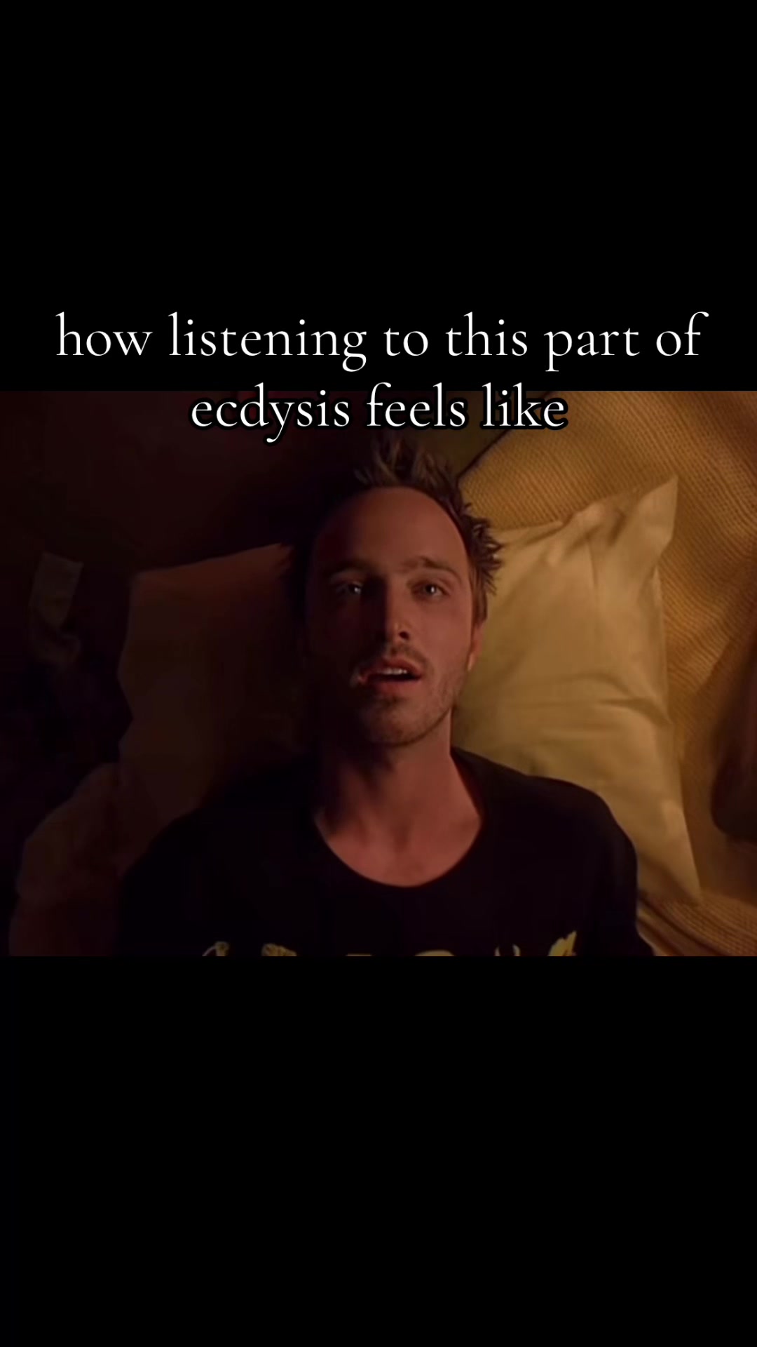 @kam