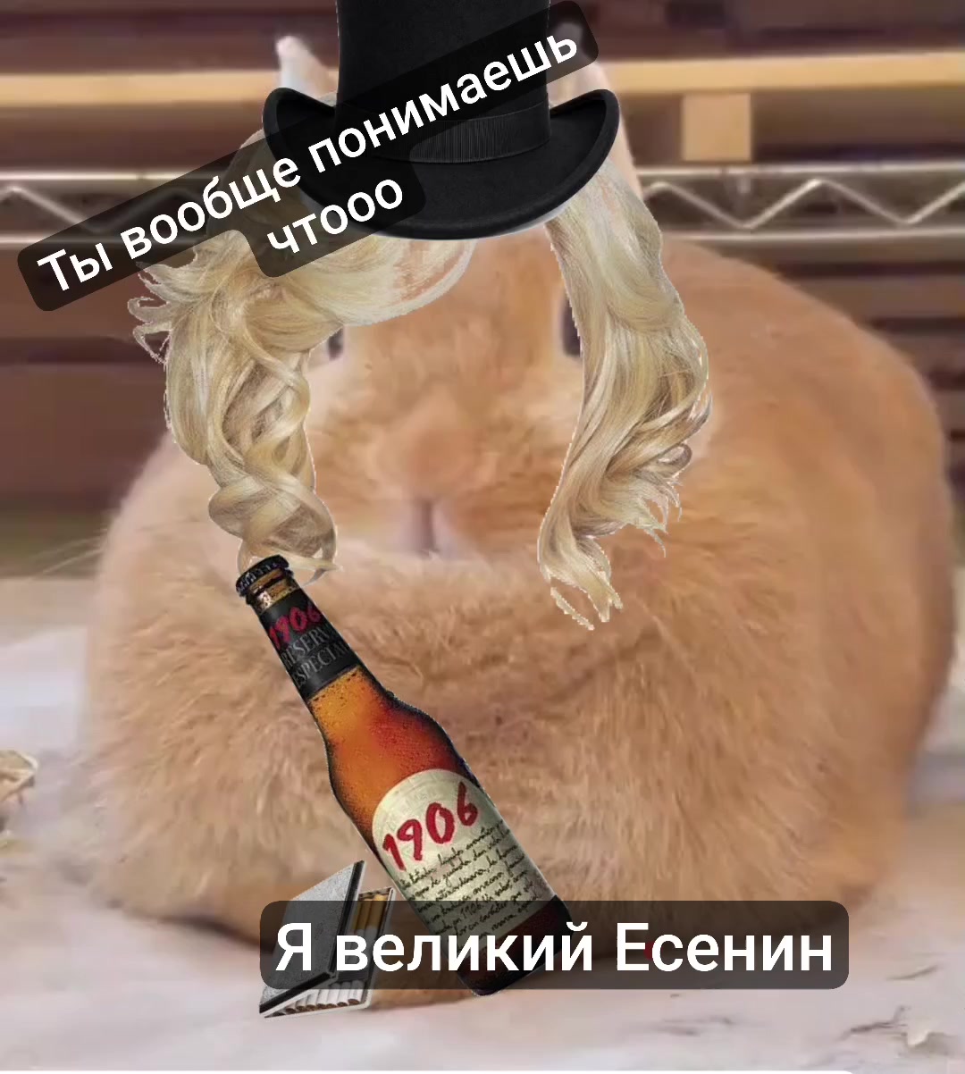 @𝓨сенина