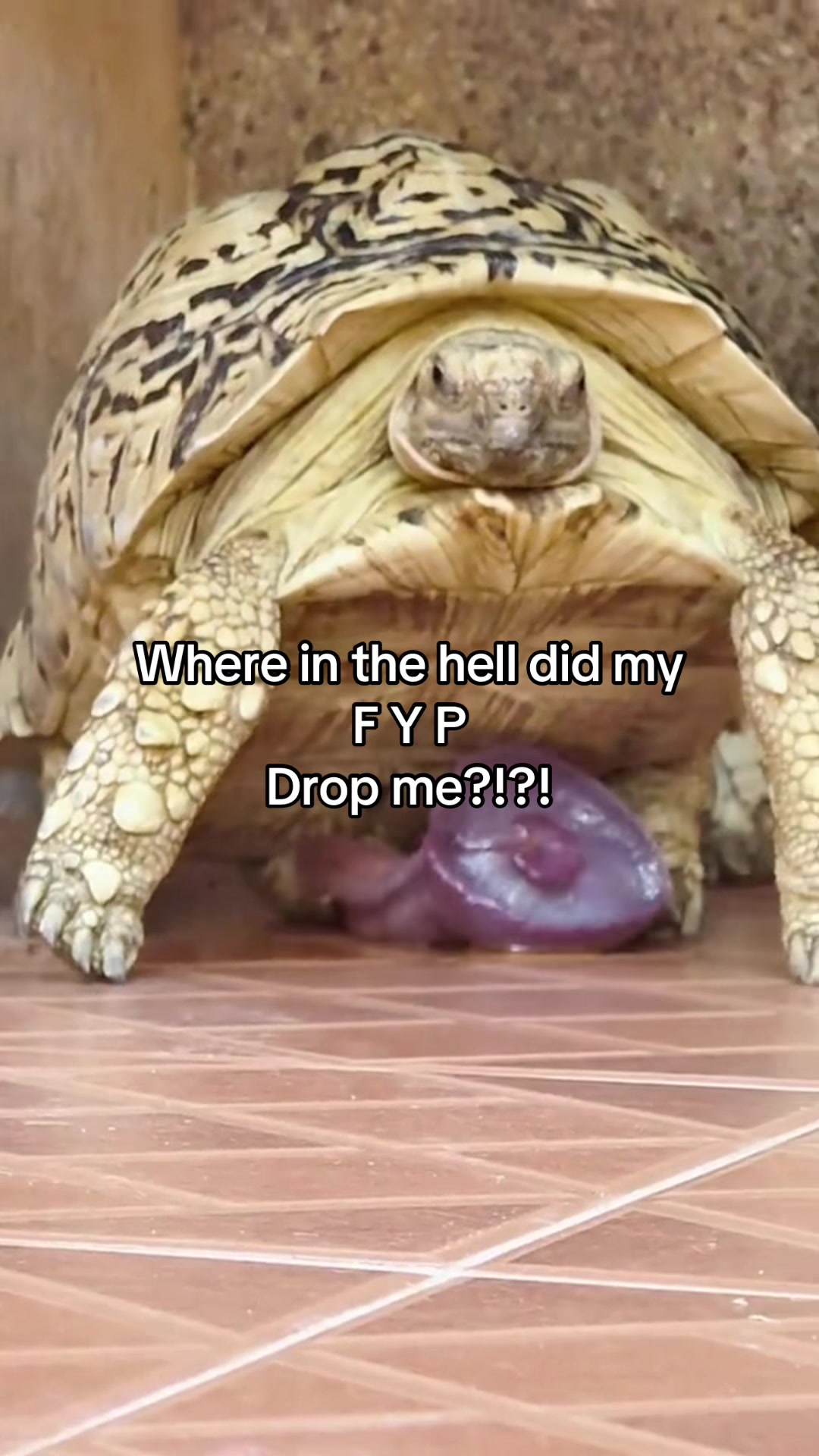 @Tammy