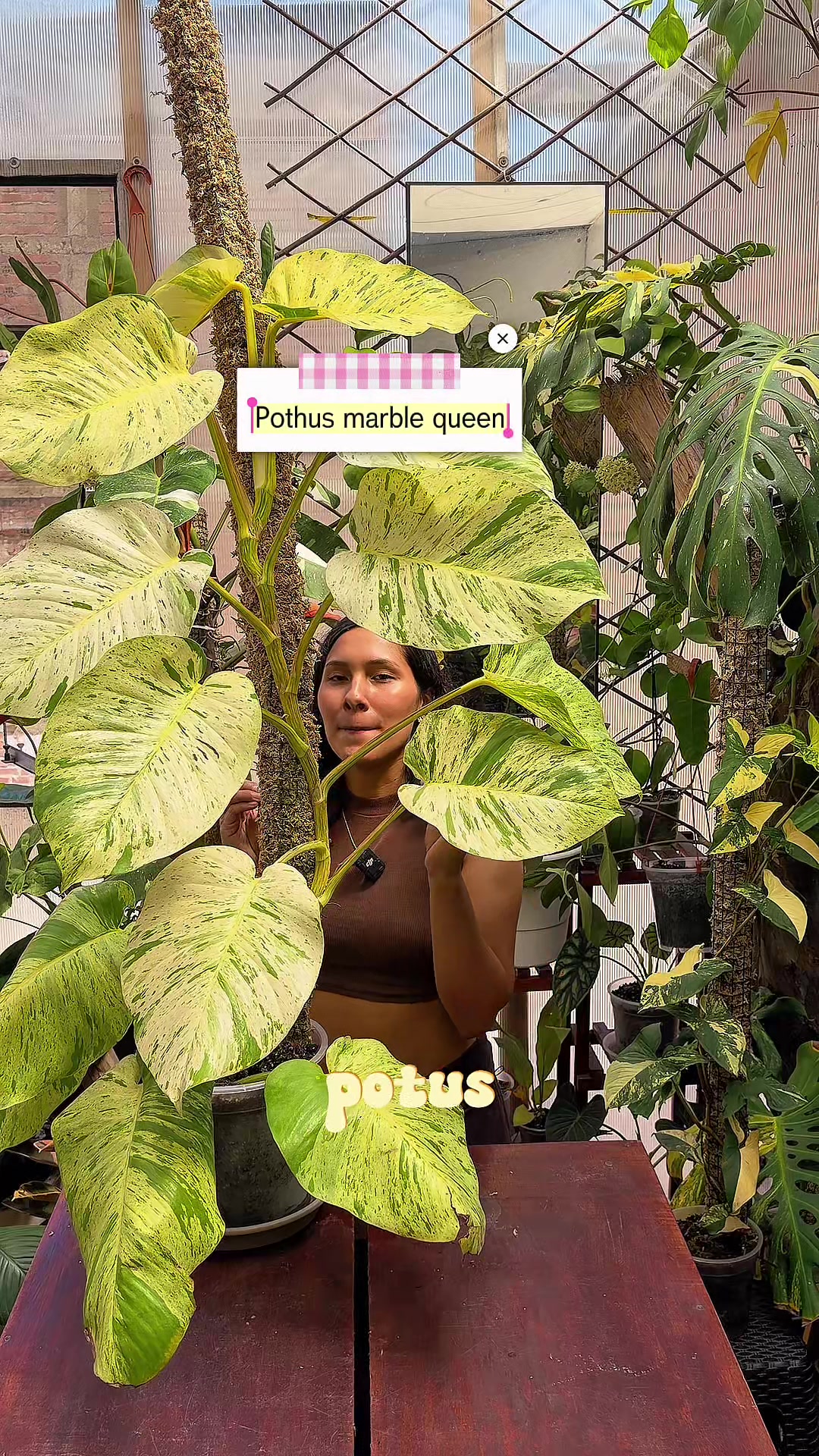 @arianacarrascolopez