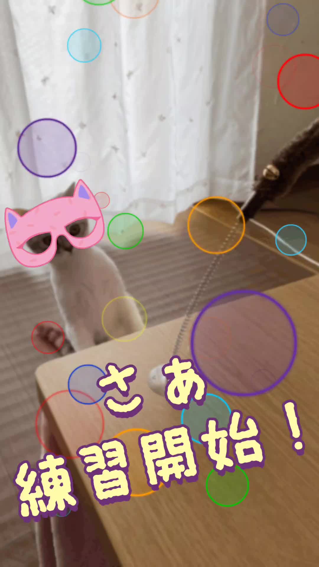 @くるくる8