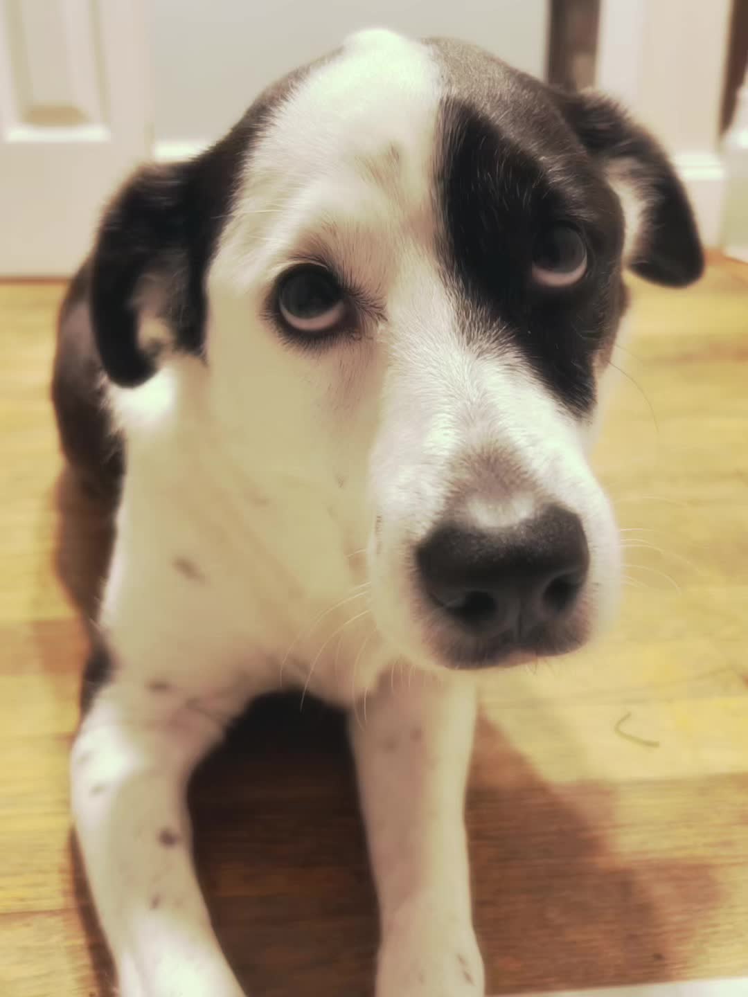 @lesleycordova