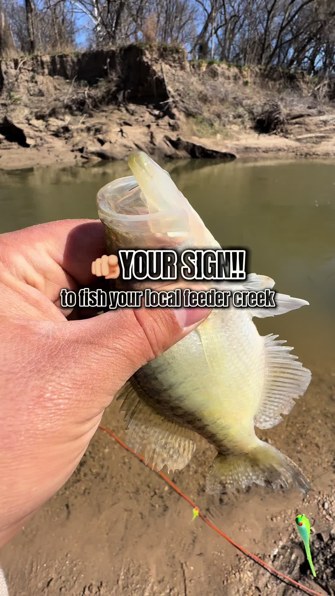 @RiverRat.fwtx🎣