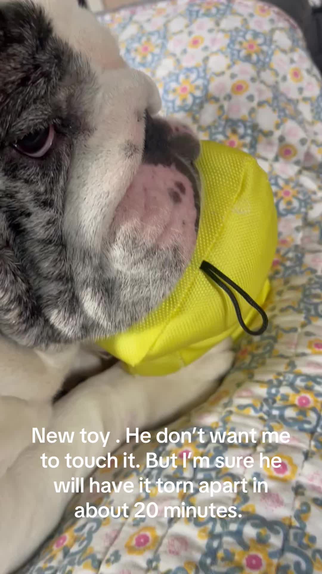 @pacheco.125
