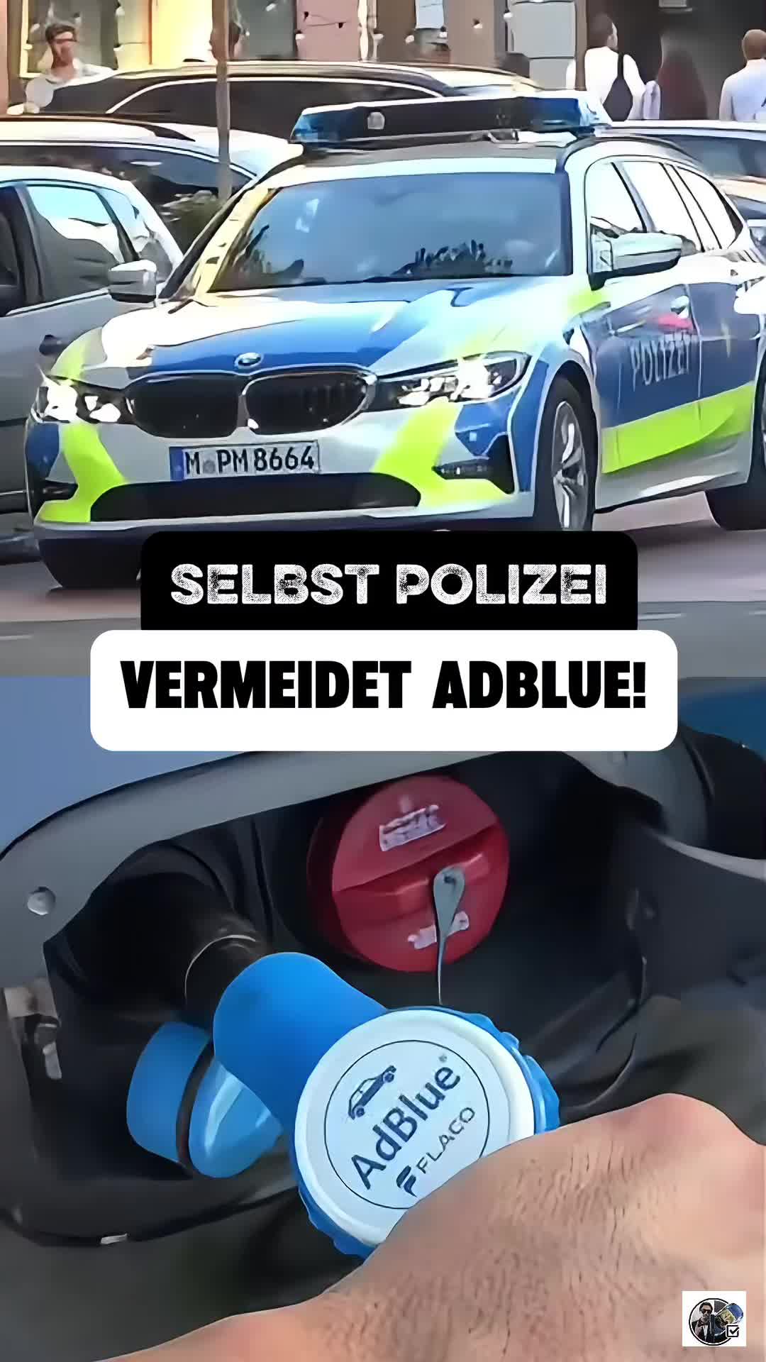 @auto.professor