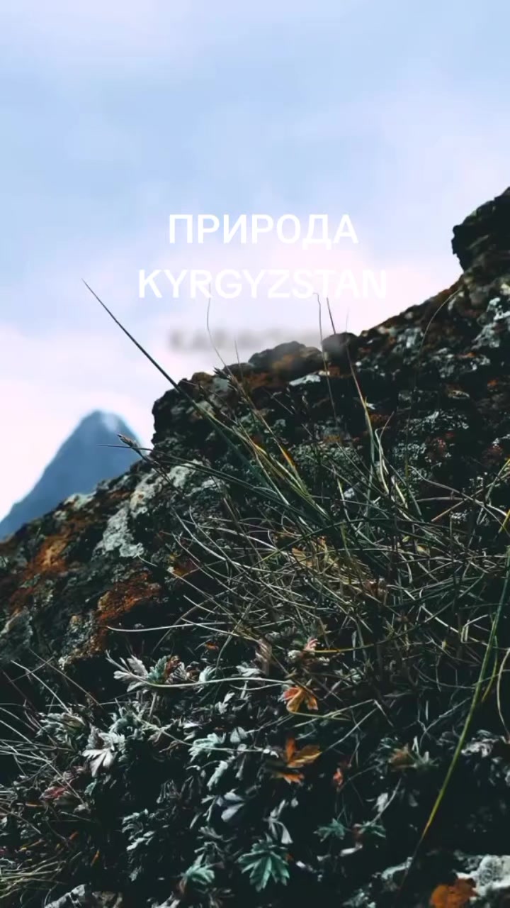 @aidarali_63