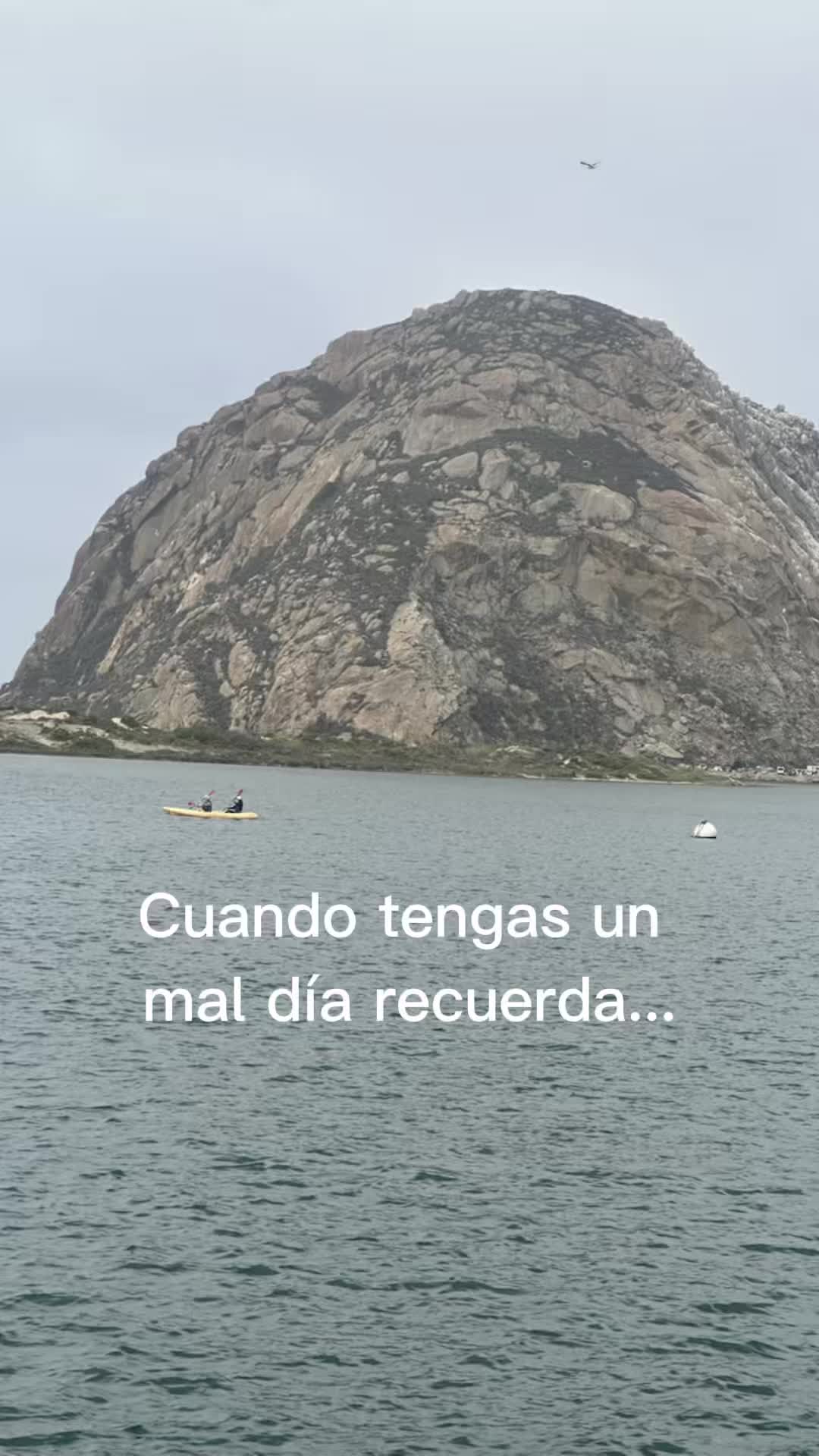 @Sinaloense42