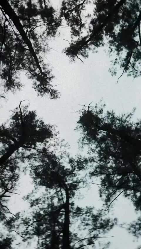 @José 🦇🩸