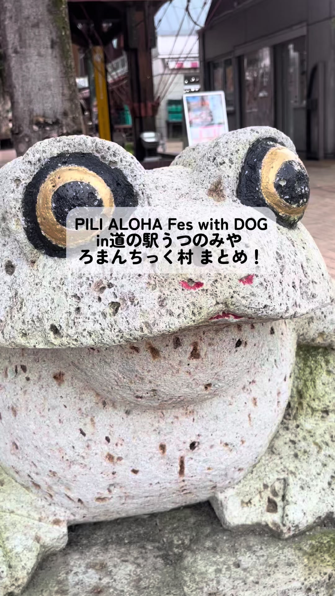@TOMOKAðžðšð