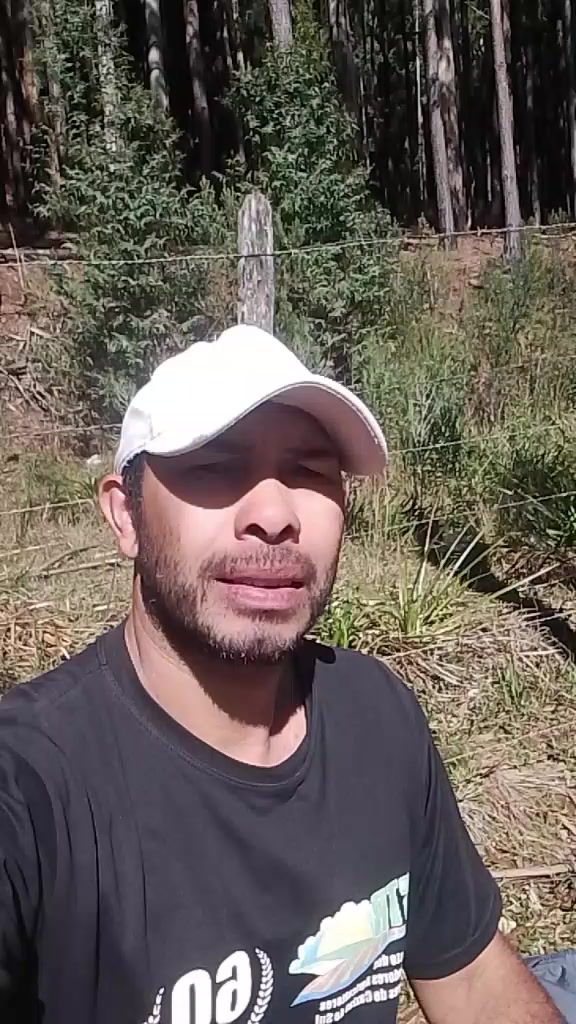@Evandro Alves