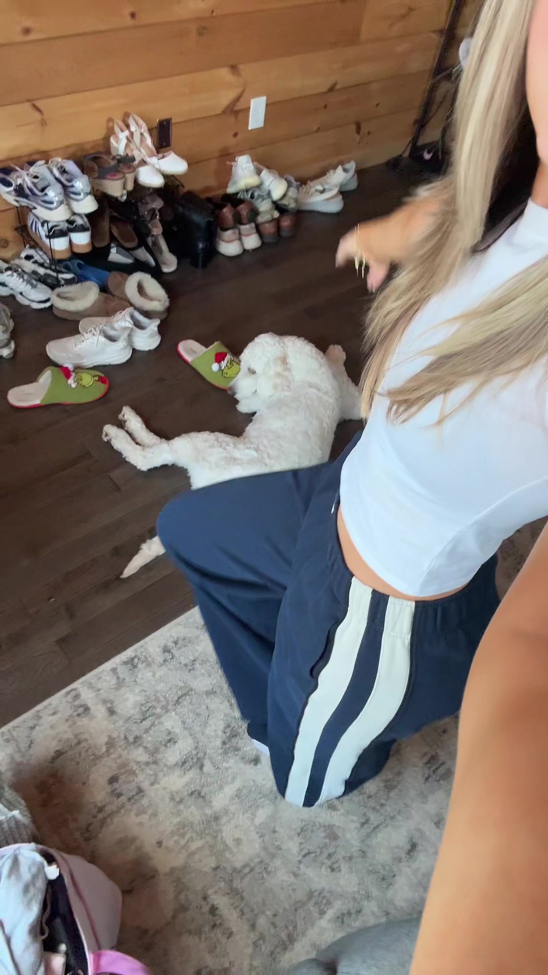 @aalexnicoleee